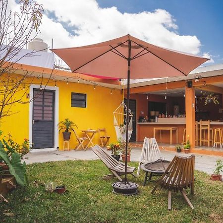 Casa Sofia Guest House San Cristóbal de Las Casas Exterior foto